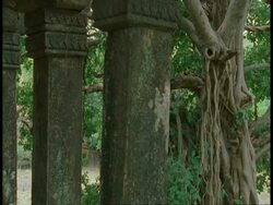 CU Hindu temple pillars, jungle, Bandhavgarh National Park, India Stock Footage