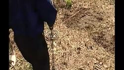 Lanmine clearance in Cambodia News Clip