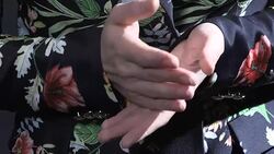 CLEAN : Ten years on Femen's leader hopes for a new women's spring News Clip