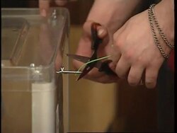 WRAP Exit polls put pro-Russian party ahead as polls close, elect commission News Clip