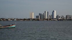 ONLY ON AP Brazil babies born with Zika: One year later Instructional Video