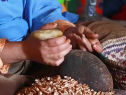 CU Shot of woman's hands cracking almonds with rocks to make argon oil / casablanca, centro, morocco Stock Footage