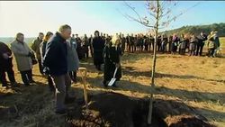 Monarch plants oak as part of Jubilee wood project Instructional Video