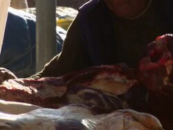 Man struggles to lift very large piece of meat from cart, Copacabana, Bolivia Stock Footage