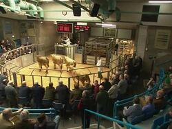 Nick Clegg Campaigning in Gordon - General Election 2015 News Clip