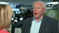 Attenborough Calls for Cheaper Renewable Energy News Clip