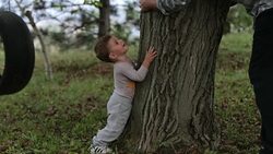 Save the trees Stock Footage