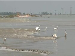 Rescue ops in Sindh, collapsed bridge, WFP and Uzbek aid News Clip