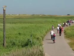 WS View of group of people walking and riding on bicycle through roadway of grass field area, North Sea North Frisia, / St. Peter Ording, Schleswig Holstein, Germany Stock Footage