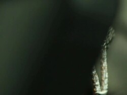 Diamond ring Stock Footage