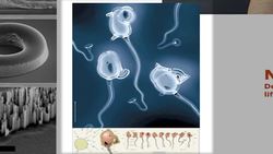 Paola Antonelli: Design and the Elastic Mind Instructional Video