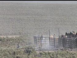 In Ely, Nevada hundreds of wild horses are rounded up by helicopters and workers on the ground. Those who corral the horse say it is for the health of the horses, but not everyone agrees that it is necessary. AP Video by Julie Jacobson. News Clip