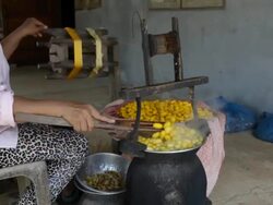 Cocoon silkworm Stock Footage