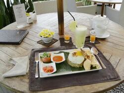 MS Dish of Nasi Goreng with fried rice, chicken, egg, kerupuk crackers, pineapple juice and balinese food at Asia / Ubud, Bali, Indonesia Stock Footage