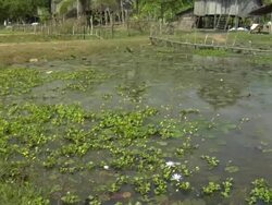 PAN Typical rural home / Cambodia Stock Footage