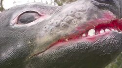 A statue depicts a Tasmanian devil. Stock Footage