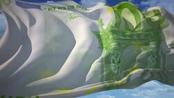 Euro Curreny Flag Stock Footage