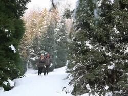 Couple walk through deep snow in conifer forest, take picture Stock Footage