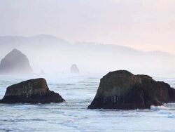 HD Oregon coast Stock Footage