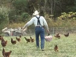 VOICED: Farmer Joel thinks global, grows local News Clip