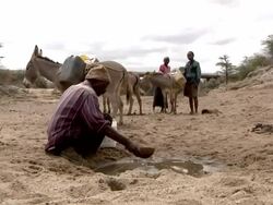 Man fills water canister from small well Stock Footage