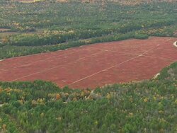 WS ARIEAL View of Woods area and fields / Maine, United States Stock Footage