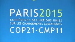 CLEAN : COP21: African leaders in Paris make case for electrification News Clip