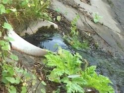 Pollution of the water Stock Footage