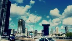 City Life at Rotterdam, Netherland Stock Footage