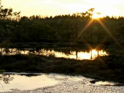 sun reflection from water Stock Footage