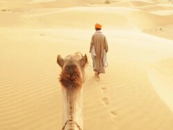 Rajasthani man walking on desert, Sam Desert, Jaisalmer, Rajasthan, India Stock Footage