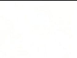 The Dallas Cowboys won their NFC showdown with the Packers Thursday night, beating Green Bay 37-27. Tony Romo led the way with 4 touchdown passes. Brett Favre was injured in the loss Instructional Video