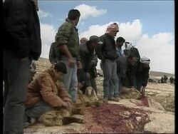 WEST BANK: SHEPHERD CAVE DWELLERS CELEBRATE News Clip
