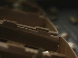 Oyster Stock Footage