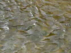 water with reflection Stock Footage