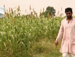 Farmer walking in a farm, Haryana, India Stock Footage