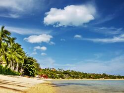 Empty tropical beach Stock Footage