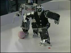 Robots compete at South Korea's annual competition News Clip