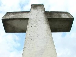 HD TIMELAPSE: After life Stock Footage