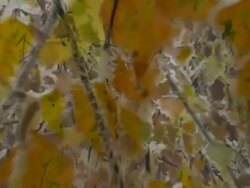 BIRCH LEAVES BLUR : white frost - LOOP Stock Footage