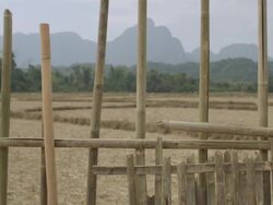 MS PAN SLO MO Bamboo fence pickets with plants intertwined  / Vang Vieng, Vientiane, Laos  Stock Footage