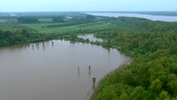 Verdant woodlands cover a riverbank. Stock Footage