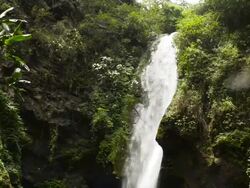 MS TD shot of waterfall / Puri, Orissa, India Stock Footage