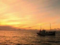 HD: Boat In The Sunset Stock Footage