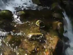 Cascade + Audio Stock Footage