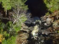 WS ARIEAL ZI ZO View of Water fall in forest /Maine, United States Stock Footage