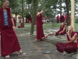MS Monk yelling and practicing slapping movement in courtyard AUDIO / Dharamsala, Himachal Pradesh, India Stock Footage