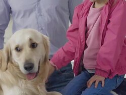Father And Daughter Stroking A Dog Stock Footage