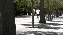 Edward VII Park in Lisbon Stock Footage