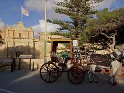 HORSE AND CARRIAGE AT ENTRANCE OF CITY Stock Footage